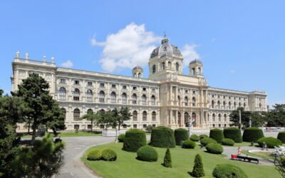 Top 5 Museums in Vienna